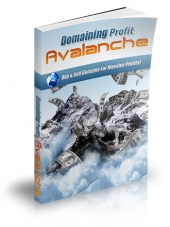Thumbnail Domaining Profits Avalanche With MRR (Master Resale Rights)