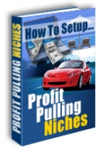 Thumbnail How To Setup Profit Pulling Niches With MRR (Master Resale Rights)