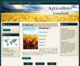 Thumbnail Cornfield WP Theme - With Master Resale Rights