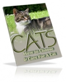 Thumbnail Cats : How To Choose & Care For A Cat - With Giveaway Rights