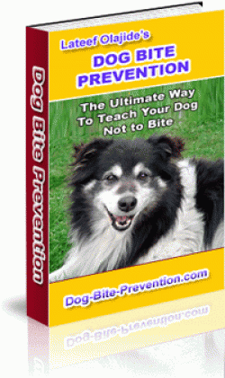 Product picture Dog Bite Prevention With MRR (Master Resale Rights)