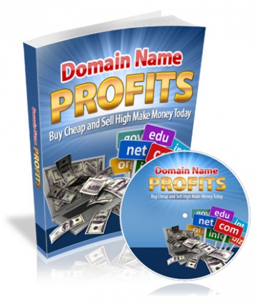 Product picture Domain Name Profits
