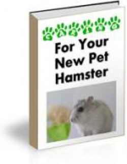 Product picture For Your New Pet Hamster With MRR (Master Resell Rights)