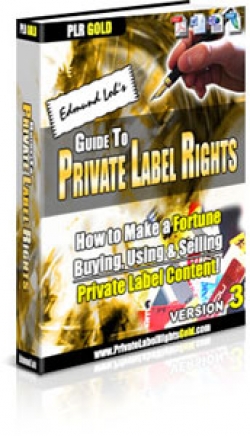 Product picture Guide to Private Label Rights : Version 3 With MRR (Master Resale Rights)
