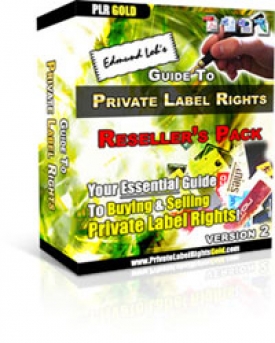 Product picture Guide To Private Label Rights : Version 2 With MRR (Master Resale Rights)