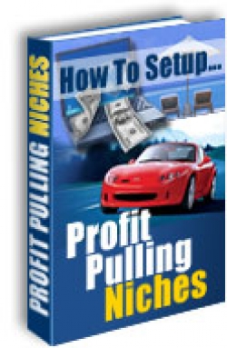 Product picture How To Setup Profit Pulling Niches With MRR (Master Resale Rights)