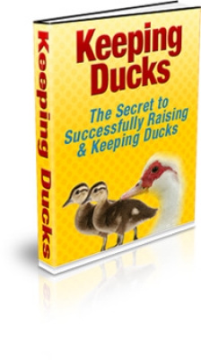 Product picture Keeping Ducks With MRR (Master Resale Rights)