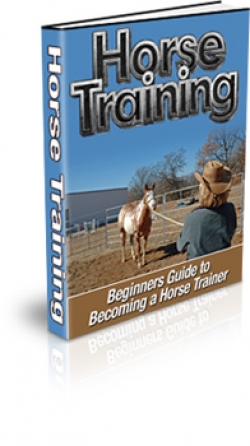 Product picture Horse Training With PLR (Private Label Rights)