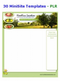 Product picture 30 MiniSite Templates - PLR - With Private Label Rights