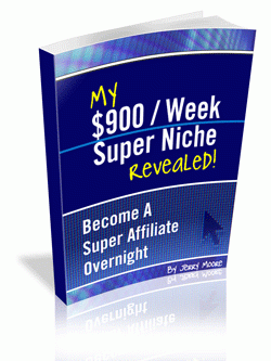 Product picture My $900/Week Super Niche Revealed With Master Resale Rights