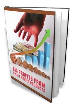 Product picture Big Profits From Small Priced Products - With Master Resale Rights