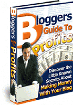 Product picture Bloggers Guide To Profits - With Master Resell Rights