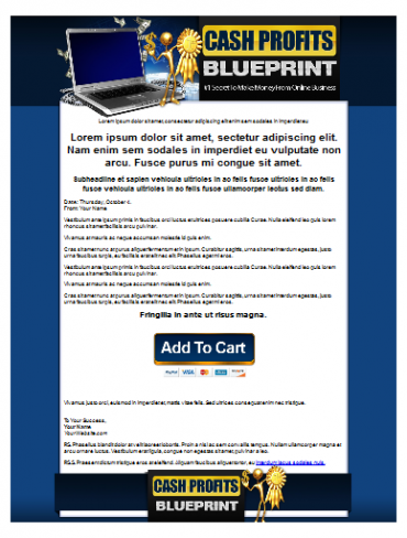 Product picture Cash Profits Blueprint Template - With Personal Use Rights