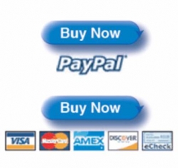 Product picture Create PayPal Buy Now Button Video - With Private Label Rights