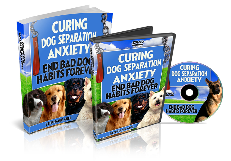Product picture Curing Dog Separation Anxiety - With Private Label Rights