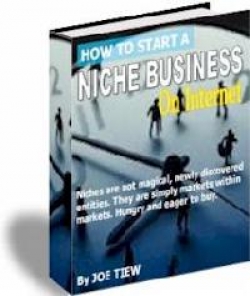 Product picture How to Start A Niche Business On Internet - With Resell Rights