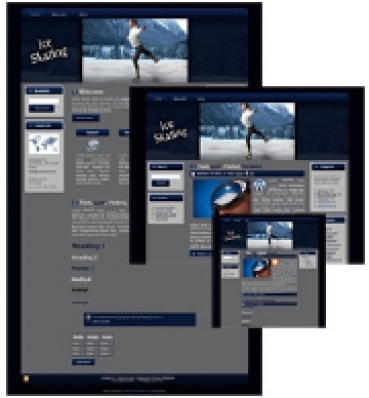 Product picture Ice Skating - WP Theme - With Master Resale Rights