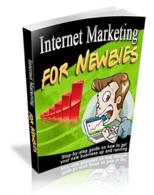 Product picture Internet Marketing For Newbies - With Master Resale Rights