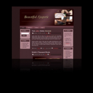 Product picture Lingerie WP Theme - With Master Resale Rights