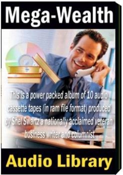 Product picture Mega Wealth Audio Library