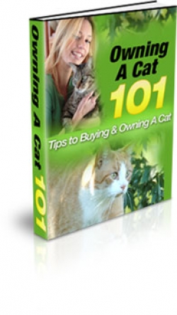 Product picture Owning A Cat 101 - With Master Resale Rights