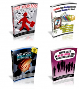 Product picture Special Offer PLR - With Private Label Rights