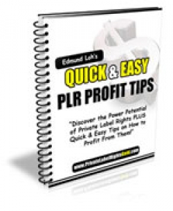 Product picture Quick & Easy PLR Profit Tips - With Giveaway Rights