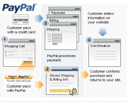 Product picture Create A PayPal Custom Payment Page - With Private Label Rights
