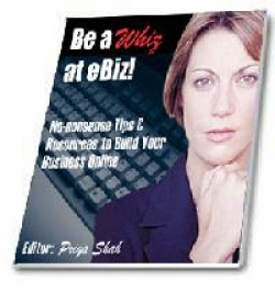 Product picture Be A Whiz At Ebiz With Resell Rights